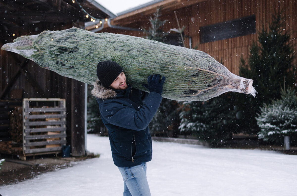 Emballage et livraison du sapin. L'homme qui porte le sapin