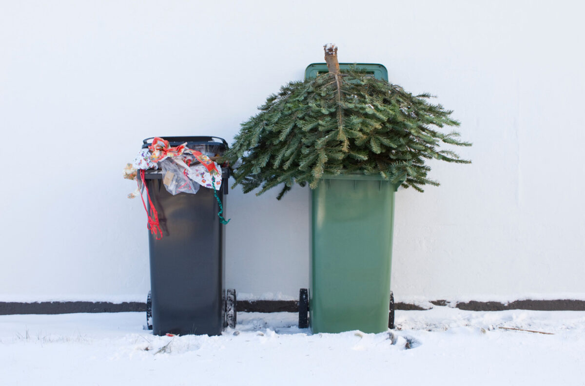 Recyclez votre sapin de Noël