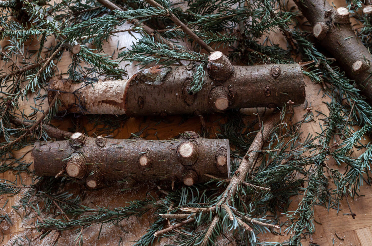 Fin du sapin de Noël coupé en morceaux